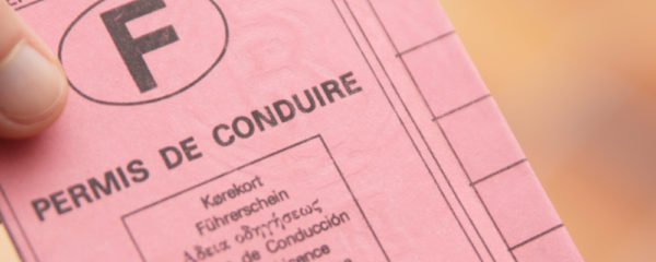 permis de conduire